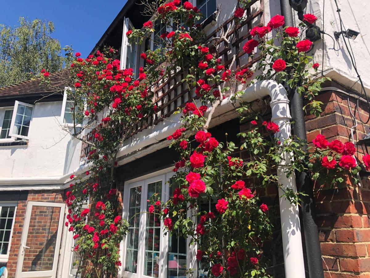 Hazelwick Guest House Hookwood Eksteriør bilde